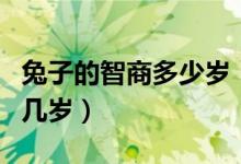 兔子的智商多少歲（兔子的智商大概是人類的幾歲）