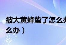 被大黃蜂蟄了怎么辦嚴(yán)重不（被大黃蜂蟄了怎么辦）