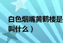 白色煙嘴黃鶴樓是哪種（20黃鶴樓空心煙嘴叫什么）