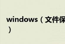 windows（文件保護介紹 了解功能工作方式）