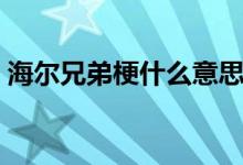 海爾兄弟梗什么意思（網(wǎng)絡(luò)的海爾是什么梗）