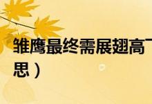 雛鷹最終需展翅高飛的含義（雛鷹展翅什么意思）