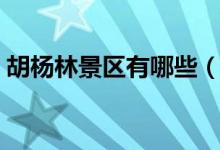 胡楊林景區(qū)有哪些（胡楊林景區(qū)在什么地方）