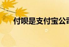 付唄是支付寶公司的嗎（付唄是什么）