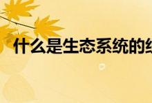 什么是生態(tài)系統(tǒng)的組成（什么是生態(tài)系統(tǒng)）
