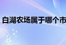 白湖農(nóng)場屬于哪個市（白湖農(nóng)場屬于哪個市）