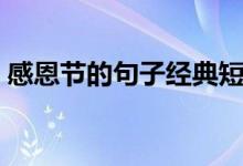感恩節(jié)的句子經(jīng)典短語(yǔ)（關(guān)于感恩節(jié)的短句）
