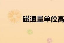 磁通量單位高斯（磁通量單位）