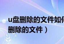 u盤刪除的文件如何恢復(fù)（怎么可以恢復(fù)u盤刪除的文件）