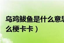 烏雞鲅魚是什么意思網(wǎng)絡(luò)用語（烏雞鲅魚是什么?？ǎ?class=