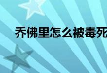 喬佛里怎么被毒死的（喬佛里怎么死的）