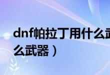 dnf帕拉丁用什么武器好點（dnf帕拉丁用什么武器）