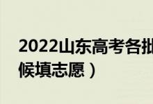 2022山東高考各批次志愿填報(bào)時(shí)間（什么時(shí)候填志愿）