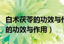 白術茯苓的功效與作用及食用方法（白術茯苓的功效與作用）