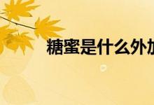 糖蜜是什么外加劑（糖蜜是什么）