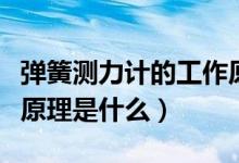 彈簧測力計(jì)的工作原理是（彈簧測力計(jì)的工作原理是什么）
