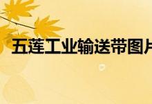 五蓮工業(yè)輸送帶圖片（網(wǎng)絡(luò)gy是什么意思）