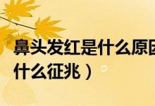 鼻頭發(fā)紅是什么原因肺熱吃什么（鼻頭發(fā)紅是什么征兆）