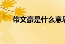 帶文豪是什么意思（帶文豪哥什么梗）