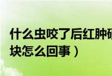 什么蟲咬了后紅腫硬塊（蟲子叮咬后紅腫有硬塊怎么回事）