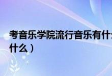考音樂學(xué)院流行音樂有什么要求（考音樂學(xué)院的基本要求是什么）