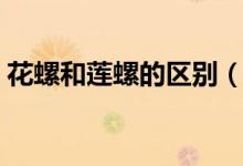 花螺和蓮螺的區(qū)別（花螺跟海螺有什么區(qū)別）