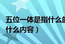 五位一體是指什么的總體布局（五位一體是指什么內容）