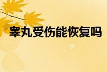 睪丸受傷能恢復(fù)嗎（睪丸受傷后能自愈嗎）