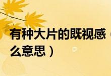 有種大片的既視感（拍出了大片的既視感是什么意思）