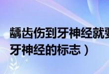 齲齒傷到牙神經(jīng)就要做根管治療嗎（齲齒傷到牙神經(jīng)的標(biāo)志）