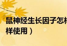 鼠神經生長因子怎樣注射（鼠神經生長因子怎樣使用）