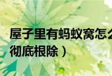 屋子里有螞蟻窩怎么根除（屋里有螞蟻窩怎么徹底根除）