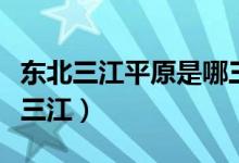 東北三江平原是哪三平原（東北三江平原是哪三江）