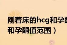 剛著床的hcg和孕酮值是多少（剛著床的hcg和孕酮值范圍）