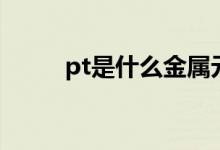 pt是什么金屬元素（pt是什么金）