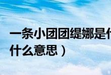 一條小團(tuán)團(tuán)緹娜是什么梗（一條小團(tuán)團(tuán)緹娜是什么意思）