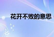 花開不敗的意思（花開不敗什么意思）