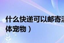 什么快遞可以郵寄活雞（什么快遞可以郵寄活體寵物）