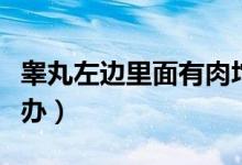 睪丸左邊里面有肉坨（睪丸上面有個(gè)肉坨怎么辦）