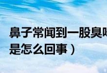 鼻子常聞到一股臭味（鼻子總是聞到一股臭味是怎么回事）