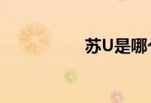 蘇U是哪個(gè)地方的車牌