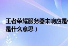 王者榮耀服務(wù)器未響應(yīng)是什么情況（王者榮耀服務(wù)器未響應(yīng)是什么意思）