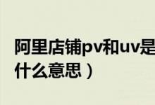 阿里店鋪pv和uv是什么意思（店鋪uv和pv是什么意思）