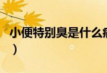 小便特別臭是什么病（小便特別臭是什么原因）