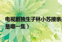 電視劇獨(dú)生子林小蘇接親是第幾集（電視劇獨(dú)生子小蘇結(jié)婚是哪一集）