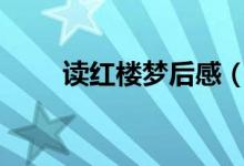 讀紅樓夢(mèng)后感（紅樓夢(mèng)后感400字）