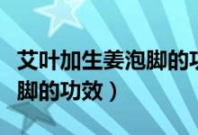 艾葉加生姜泡腳的功效與作用（艾葉加生姜泡腳的功效）