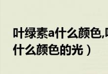 葉綠素a什么顏色,吸收什么光（葉綠素a吸收什么顏色的光）