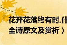 花開花落終有時,什么意思（花開花落終有時全詩原文及賞析）