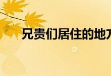 兄貴們居住的地方是哪（兄貴什么梗）